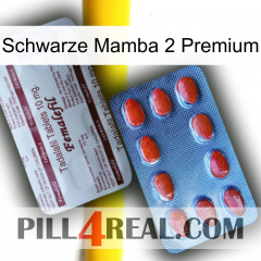 Black Mamba 2 Premium 36